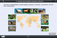 Интерактивные курсы. Биология 7 класс. Расширенный - «globural.ru» - Всеволожск