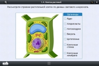 Интерактивные курсы. Биология 9 класс. Расширенный - «globural.ru» - Всеволожск
