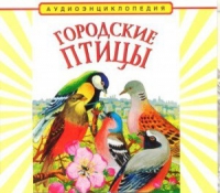 CD "Аудиоэнциклопедия. Городские птицы" - «globural.ru» - Всеволожск