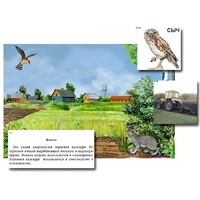 Магнитный плакат-аппликация "Поле: биоразнообразие и взаимосвязи в сообществе" - «globural.ru» - Всеволожск
