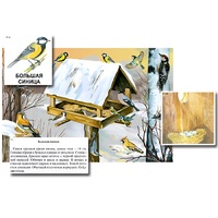 Магнитный плакат-аппликация "Биоразнообразие и экологические группы. Птицы зимой" - «globural.ru» - Всеволожск