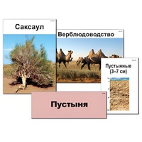 Модель-аппликация "Природные зоны России" - «globural.ru» - Всеволожск