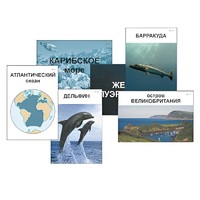 Модель-аппликация "Океаны. Знакомство" (ламинированная) - «globural.ru» - Всеволожск