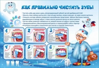 Стенд "Как правильно чистить зубы" - «globural.ru» - Всеволожск