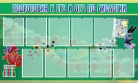 Стенд "Подготовка к ЕГЭ и ОГЭ по биологии" (вариант 2) - «globural.ru» - Всеволожск