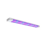 Фитолампа - «globural.ru» - Всеволожск