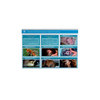 Стенд-планшет светодинамический "Изучение типических патологических процессов в организмах животных" - «globural.ru» - Всеволожск