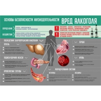 Стенд "Алкоголь" - «globural.ru» - Всеволожск