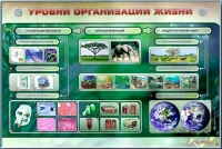 Электрифицированный стенд "Уровни организации жизни" - «globural.ru» - Всеволожск