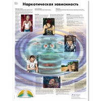 Плакат "Наркотическая зависимость", ламинированный, 50*67 см - «globural.ru» - Всеволожск