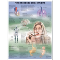 Плакат "Никотиновая зависимость", ламинированный, 50*67 см - «globural.ru» - Всеволожск
