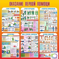 Стенд "Оказание первой помощи" - «globural.ru» - Всеволожск