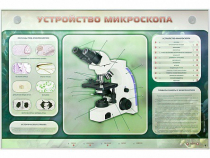 Электрифицированный стенд "Устройство микроскопа и правила работы c ним" - «globural.ru» - Всеволожск