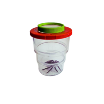 Коробка для изучения насекомых с лупой (вариант 2) - «globural.ru» - Всеволожск