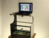 Мультстанок для перекладной анимации  - «globural.ru» - Всеволожск