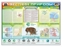 Стенд-уголок "Вестник природы" (вариант 1) - «globural.ru» - Всеволожск