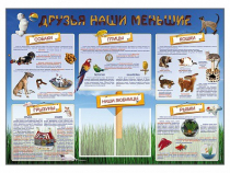 Стенд-уголок "Друзья наши меньшие" - «globural.ru» - Всеволожск