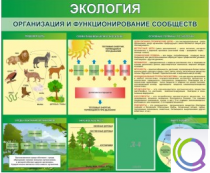 Стенд "Экология. Организация и функционирование сообществ" - «globural.ru» - Всеволожск