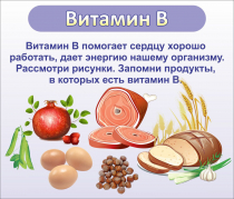 Стенд "Витамин В" - «globural.ru» - Всеволожск