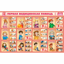 Стенд "Первая помощь" - «globural.ru» - Всеволожск