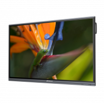 Интерактивный программно-аппаратный комплекс Geckotouch Interactive Pro IP75HT-E в комплекте с настенным креплением - «globural.ru» - Всеволожск