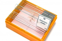 Набор микропрепаратов N10 - «globural.ru» - Всеволожск