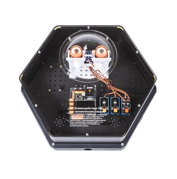 Модуль интерактивный с искусственным интеллектом "Наблюдатель" - «globural.ru» - Всеволожск