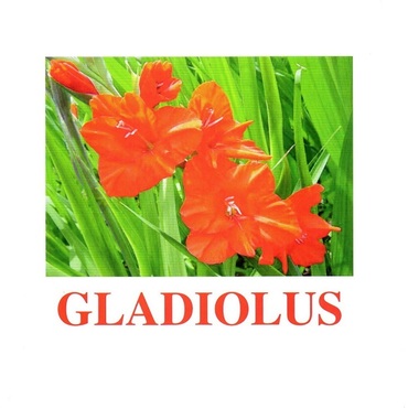 "Flowers-1" ("Цветы-1") английские карточки Домана - «globural.ru» - Всеволожск