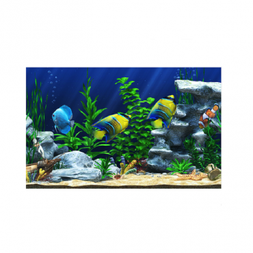 Интерактивный аттракционный комплекс "Водный мир" - «globural.ru» - Всеволожск