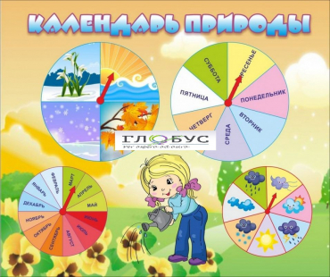 Стенд "Календарь природы" (вариант 1) - «globural.ru» - Всеволожск