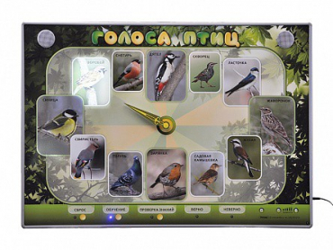 Электрифицированный стенд-часы "Голоса птиц" с комплектом дидактического материала - «globural.ru» - Всеволожск