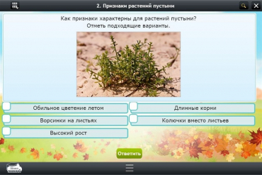 Интерактивные курсы. Окружающий мир 3 класс. Базовый - «globural.ru» - Всеволожск