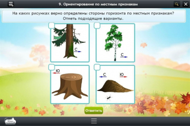 Интерактивные курсы. Окружающий мир 1 класс. Базовый - «globural.ru» - Всеволожск