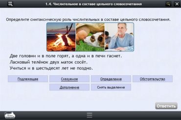 Интерактивные курсы. Русский язык 6 класс. Базовый - «globural.ru» - Всеволожск