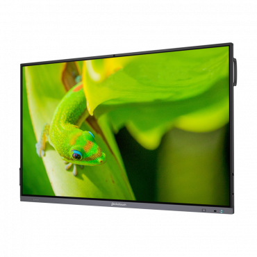 Интерактивный программно-аппаратный комплекс Geckotouch Interactive IP86GT-С  в комплекте с настенным креплением - «globural.ru» - Всеволожск
