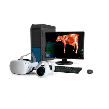 Интерактивный учебный комплекс «Анатомия Коровы» - «globural.ru» - Всеволожск