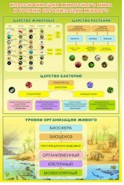 Стенд "Классификация животного мира" - «globural.ru» - Всеволожск